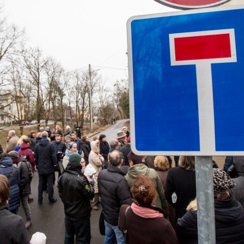 Piketas dėl Kauko laiptų medžių  © Vilmanto Raupelio nuotr.