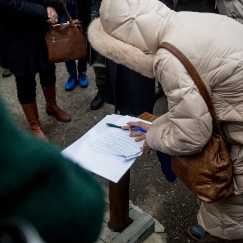 Piketas dėl Kauko laiptų medžių  © Vilmanto Raupelio nuotr.