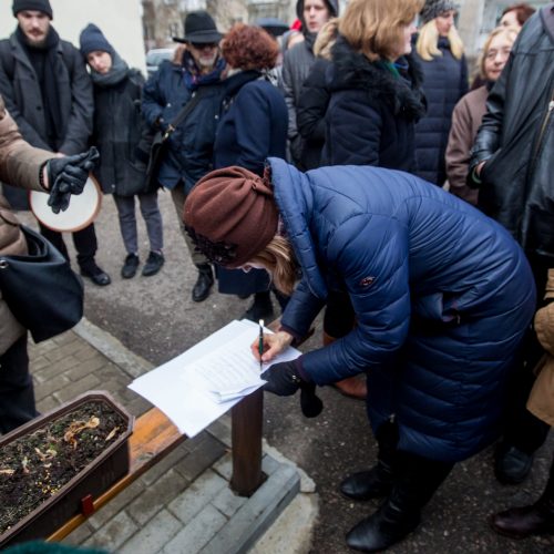 Piketas dėl Kauko laiptų medžių  © Vilmanto Raupelio nuotr.