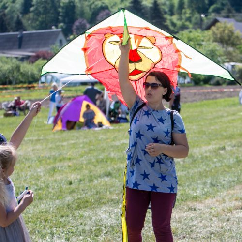 Aitvarų festivalis „Tarp žemės ir dangaus“  © Vilmanto Raupelio nuotr.