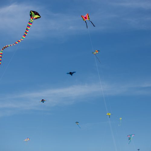 Aitvarų festivalis „Tarp žemės ir dangaus“  © Vilmanto Raupelio nuotr.