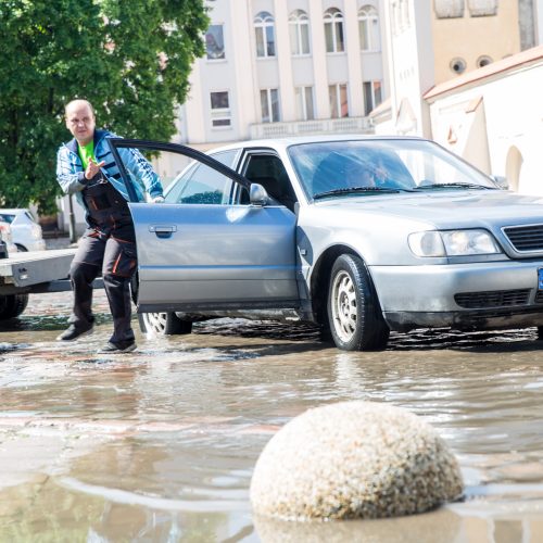 Kauną skandino liūtis  © Skaitytojų, 