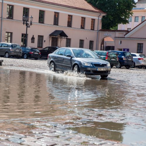 Kauną skandino liūtis  © Skaitytojų, 