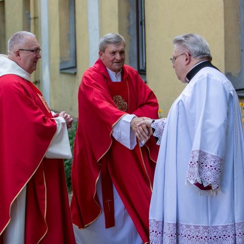 Pal. Teofiliaus relikvijų priėmimo iškilmė  © Vilmanto Raupelio nuotr.