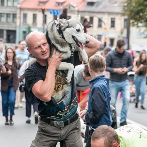 Netikėtumų festivalyje šturmuotas Parodos kalnas  © Vilmanto Raupelio nuotr.