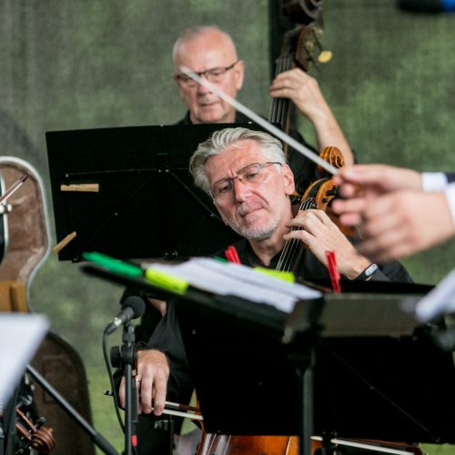 Pažaislio muzikos festivalis „Užburtasis muzikos sodas“  © Vilmanto Raupelio nuotr.