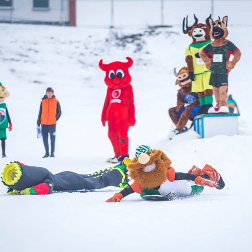 Talismanų varžybos „LTeam olimpiniame žiemos festivalyje“  © Roko Lukoševičiaus nuotr.