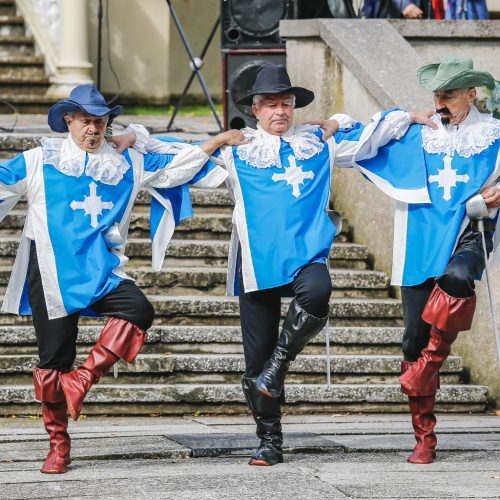 Baltų vienybės diena  © Vytauto Petriko nuotr.