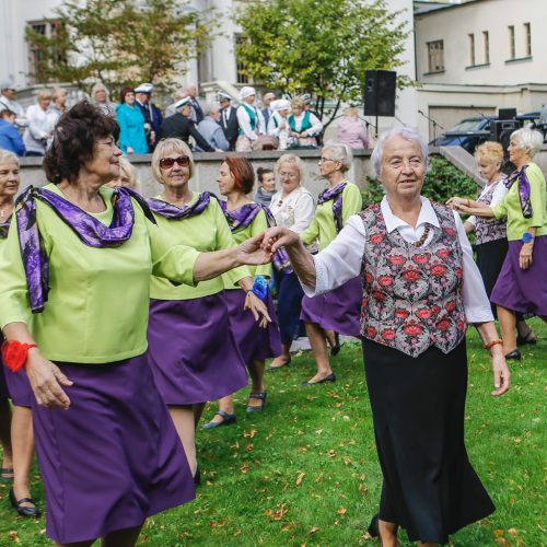 Baltų vienybės diena  © Vytauto Petriko nuotr.