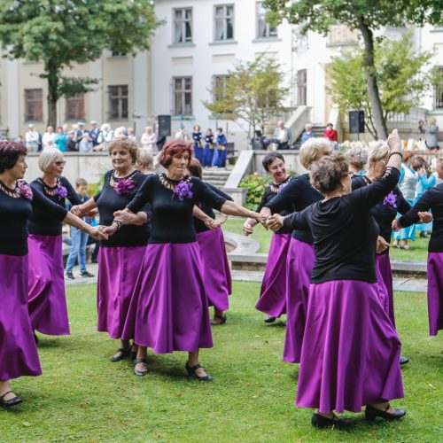 Baltų vienybės diena  © Vytauto Petriko nuotr.