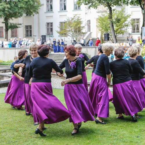 Baltų vienybės diena  © Vytauto Petriko nuotr.