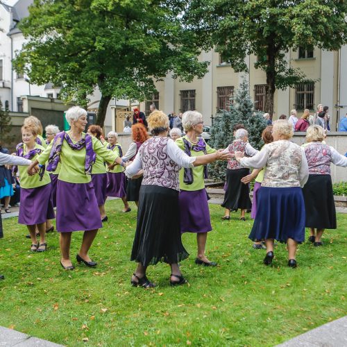 Baltų vienybės diena  © Vytauto Petriko nuotr.