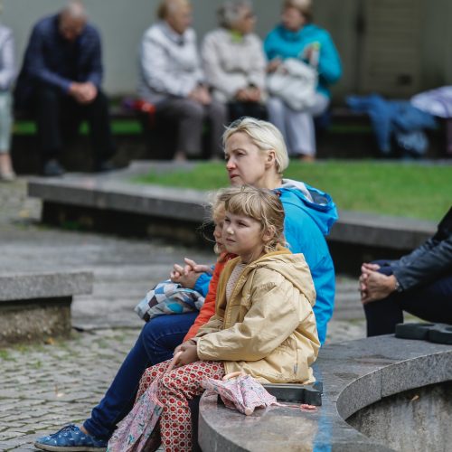 Baltų vienybės diena  © Vytauto Petriko nuotr.