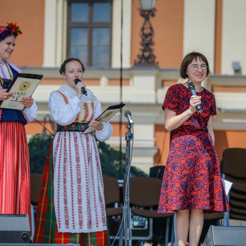 Festivalis „Lauksnos“ amatų miestelis  © Vytauto Petriko nuotr.