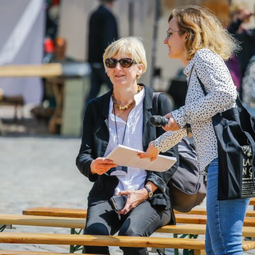 Festivalis „Lauksnos“ amatų miestelis  © Vytauto Petriko nuotr.