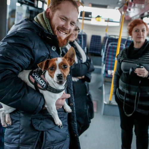 „Muzė veža“ kūrybinės dirbtuvės autobusuose  © Vytauto Petriko nuotr.