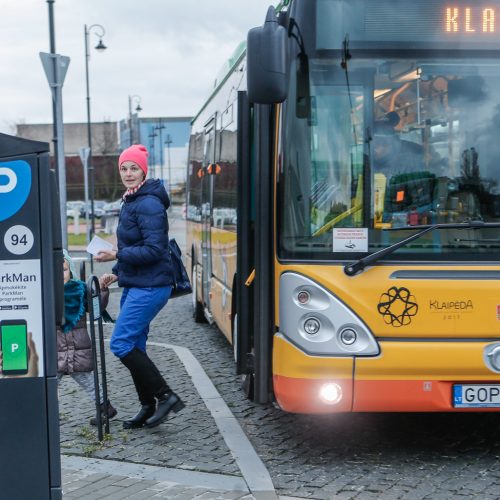 „Muzė veža“ kūrybinės dirbtuvės autobusuose  © Vytauto Petriko nuotr.