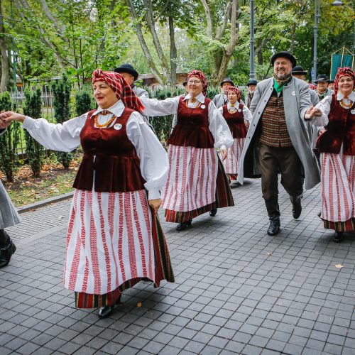 Palanga pražydo ir suskambo tarptautiniu folkloro festivaliu  © Vytauto Petriko nuotr.