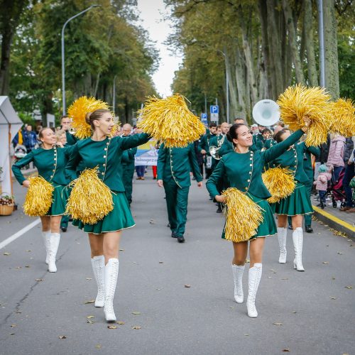 Palanga pražydo ir suskambo tarptautiniu folkloro festivaliu  © Vytauto Petriko nuotr.