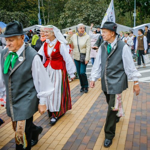 Palanga pražydo ir suskambo tarptautiniu folkloro festivaliu  © Vytauto Petriko nuotr.