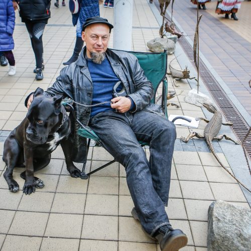 Palanga pražydo ir suskambo tarptautiniu folkloro festivaliu  © Vytauto Petriko nuotr.