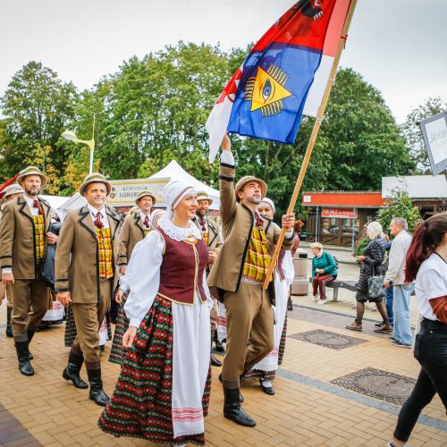 Palanga pražydo ir suskambo tarptautiniu folkloro festivaliu  © Vytauto Petriko nuotr.