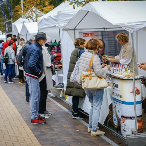 Palanga pražydo ir suskambo tarptautiniu folkloro festivaliu  © Vytauto Petriko nuotr.