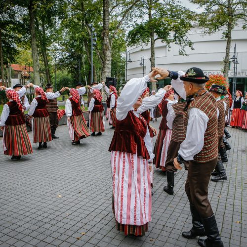 Palanga pražydo ir suskambo tarptautiniu folkloro festivaliu  © Vytauto Petriko nuotr.