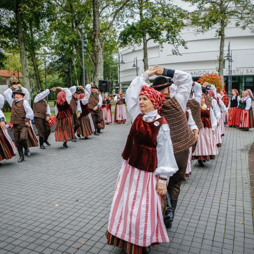 Palanga pražydo ir suskambo tarptautiniu folkloro festivaliu  © Vytauto Petriko nuotr.