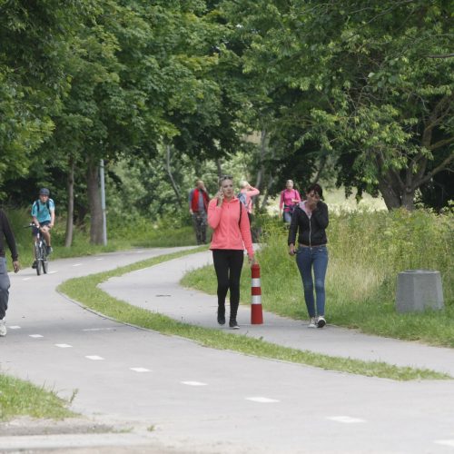 Dingęs jaunas klaipėdietis – rastas  © Vytauto Liaudanskio nuotr.