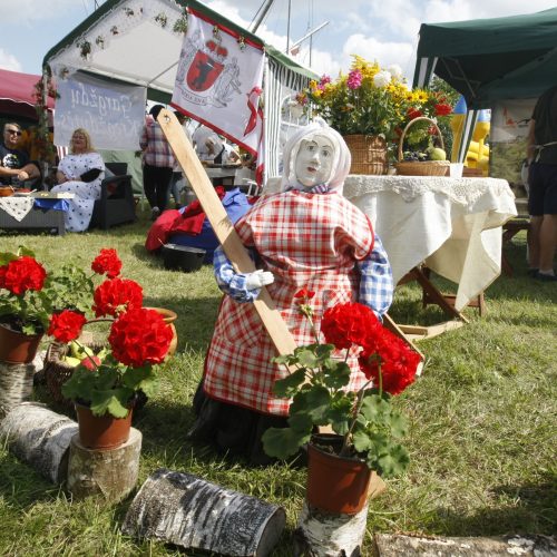 Gargždo festivalis 2019  © Vytauto Liaudanskio nuotr.