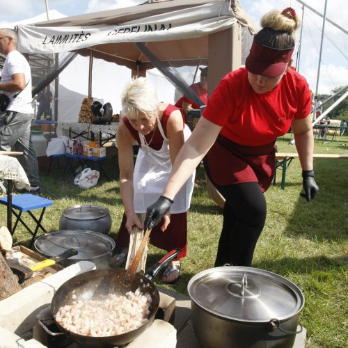 Gargždo festivalis 2019  © Vytauto Liaudanskio nuotr.