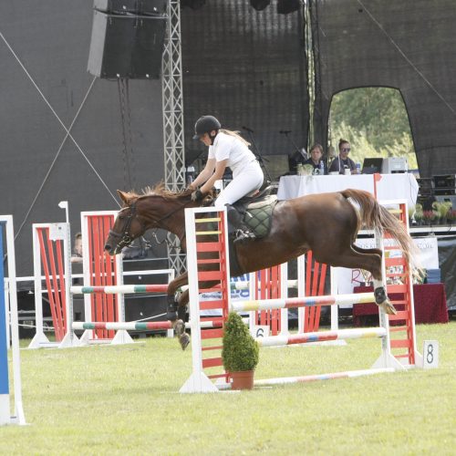 Gargždo festivalis 2019  © Vytauto Liaudanskio nuotr.