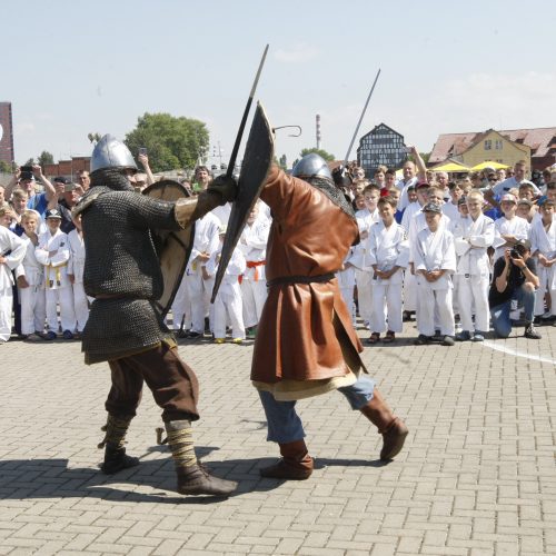 Sporto festivalis Klaipėdoje  © Vytauto Liaudanskio nuotr.