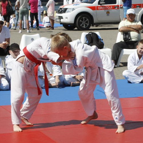 Sporto festivalis Klaipėdoje  © Vytauto Liaudanskio nuotr.