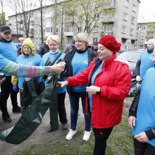 Vitės bendruomenės talka  © Vytauto Liaudanskio nuotr.