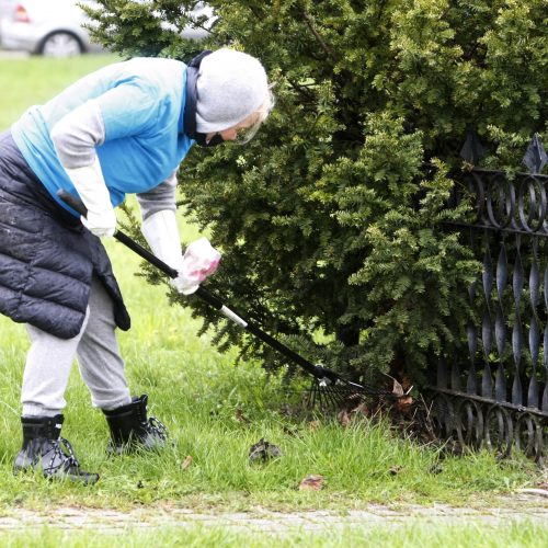 Vitės bendruomenės talka  © Vytauto Liaudanskio nuotr.