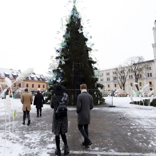 Kauno Rotušės aikštėje padegta miesto Kalėdų eglė  © Laimučio Brundzos nuotr.