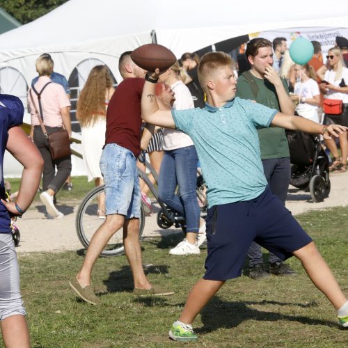 „Laisvės pikniko“ vakarinė dalis  © Laimučio Brundzos nuotr.