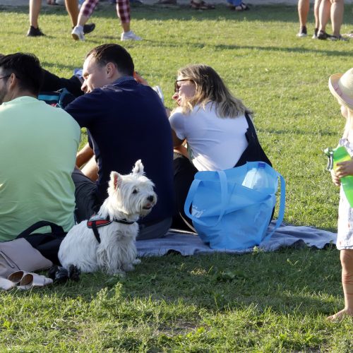 „Laisvės pikniko“ vakarinė dalis  © Laimučio Brundzos nuotr.