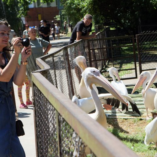 Zoologijos sodas prieš rekonstrukciją.  © Laimučio Brundzos nuotr.