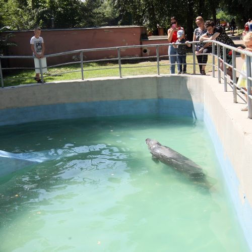 Zoologijos sodas prieš rekonstrukciją.  © Laimučio Brundzos nuotr.