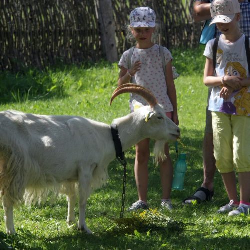 Žolinė Rumšiškėse 2020  © Laimučio Brundzos nuotr.