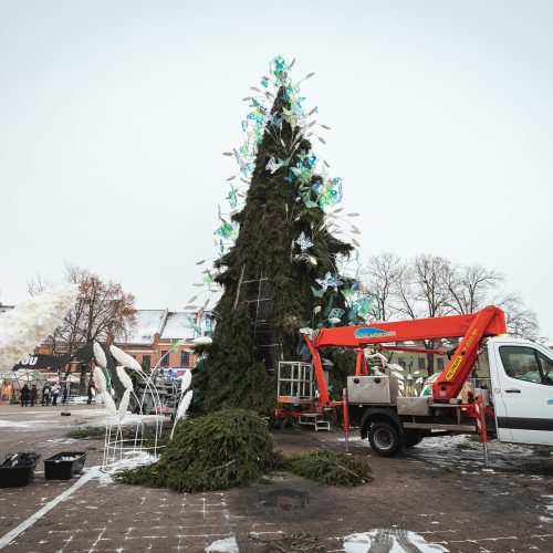 Žmonės plūsta prie apdegusios Kauno eglės  © Eitvydo Kinaičio nuotr.