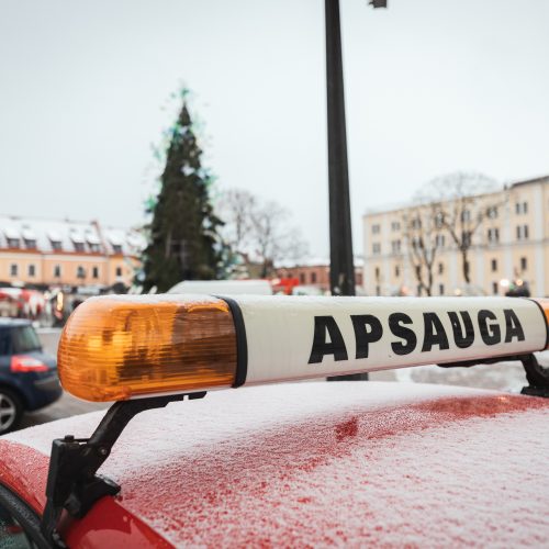 Žmonės plūsta prie apdegusios Kauno eglės  © Eitvydo Kinaičio nuotr.