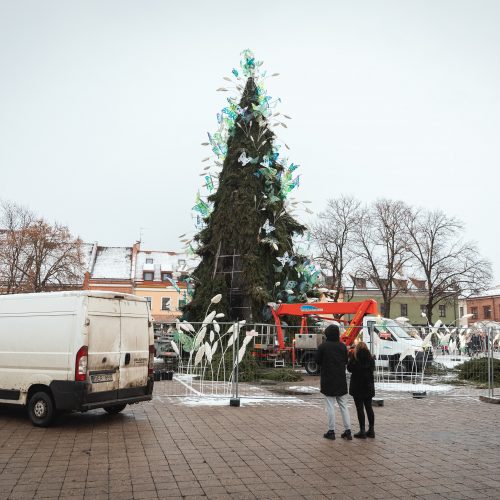 Žmonės plūsta prie apdegusios Kauno eglės  © Eitvydo Kinaičio nuotr.