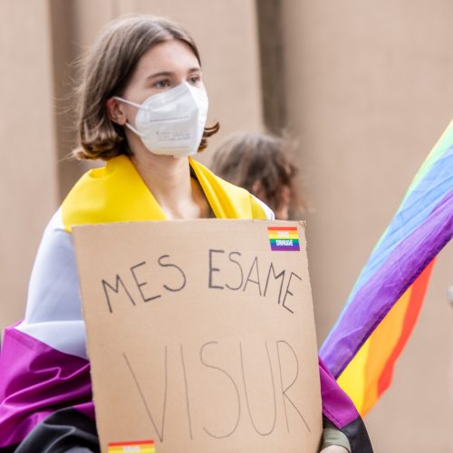 LGBT eisenos palaikymo akcija  © Justinos Lasauskaitės nuotr.