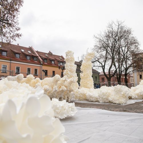 Rotušės aikštėje puošiama Kalėdų eglė  © Justinos Lasauskaitės nuotr.