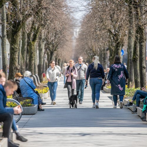 Kauniečiai džiaugėsi pavasarišku sekmadieniu  © Justinos Lasauskaitės nuotr.