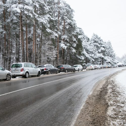 Su rogėmis ir čiuožynėmis kauniečiai šturmavo parkus ir miškus  © Justinos Lasauskaitės nuotr.